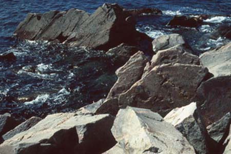 Cape Breton 828